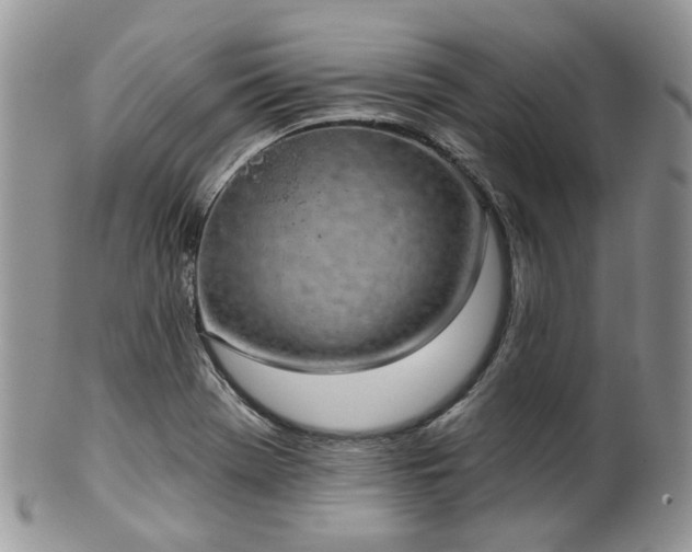 X0000100411369200806131026