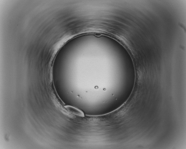 X0000100411371200806131026