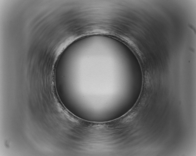 X0000100411373200806131026