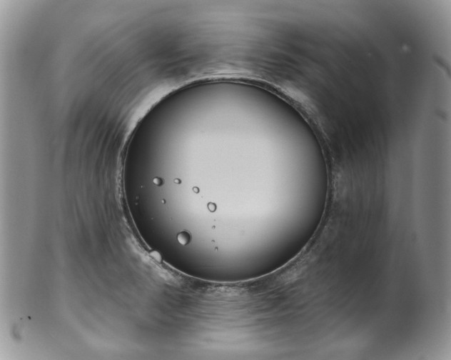 X0000100411374200806131026