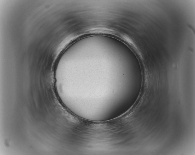 X0000100411376200806131026