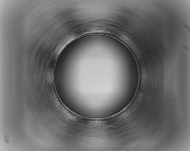 X0000100411377200806131026