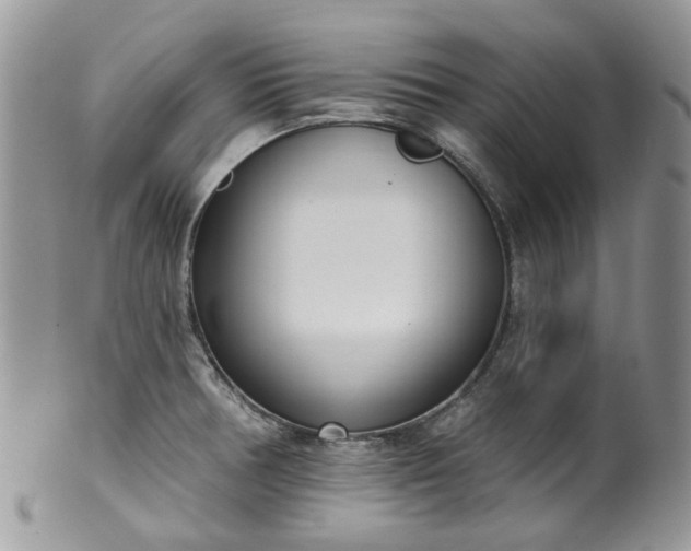 X0000100411378200806131026