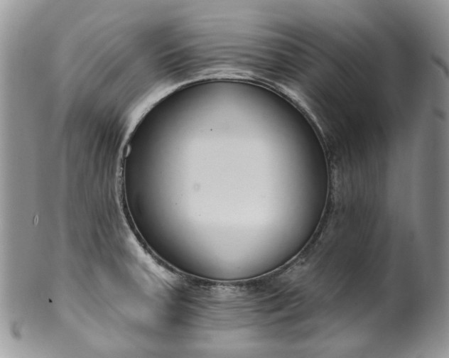 X0000100411379200806131026