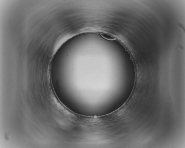 X0000100411382200806131026