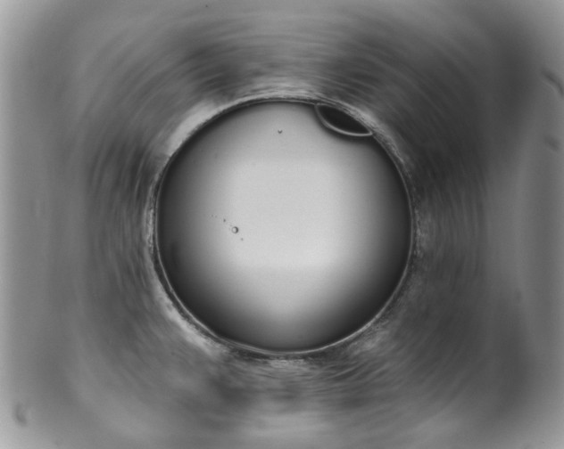 X0000100411383200806131026