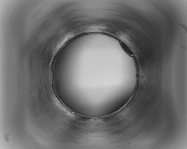 X0000100411384200806131026