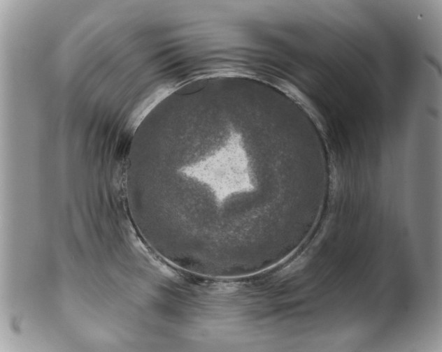 X0000100411385200806131026