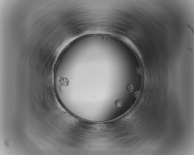 X0000100411388200806131026
