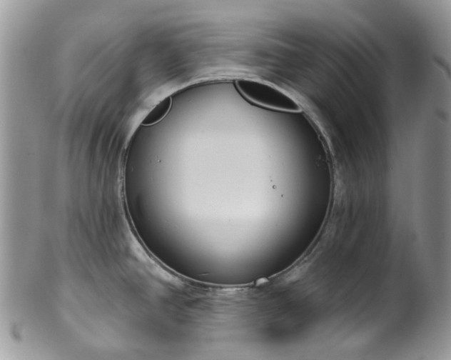 X0000100411390200806131026