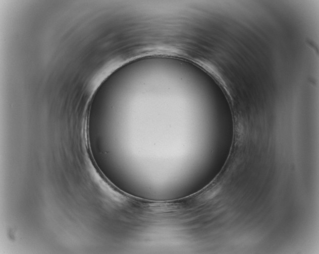 X0000100411391200806131026