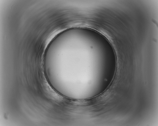 X0000100411392200806131026