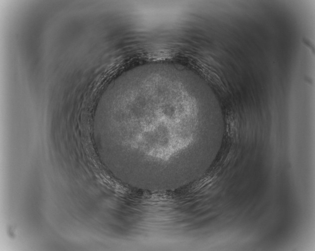 X0000100411393200806131025