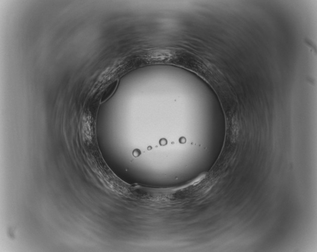 X0000100411394200806131025