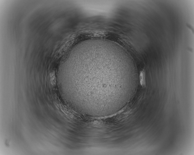 X0000100411395200806131025