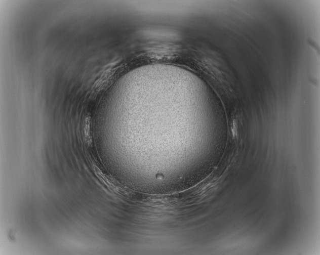 X0000100411396200806131025