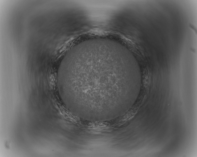 X0000100411397200806131025