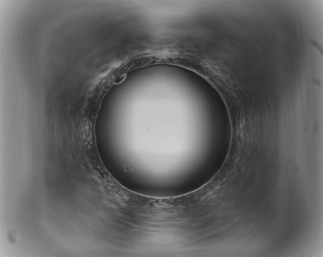 X0000100411398200806131025