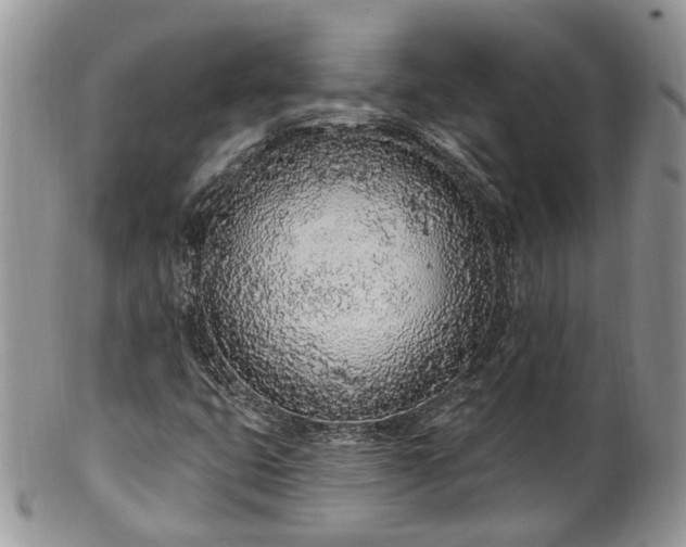 X0000100411399200806131025