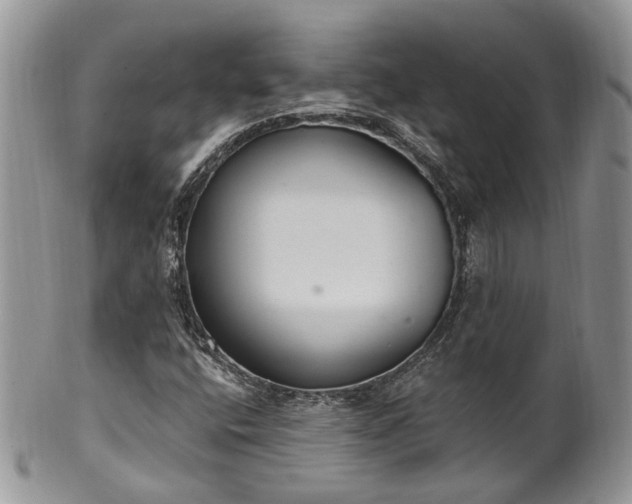 X0000100411400200806131025