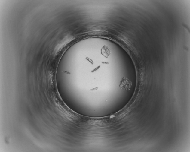 X0000100411402200806131025