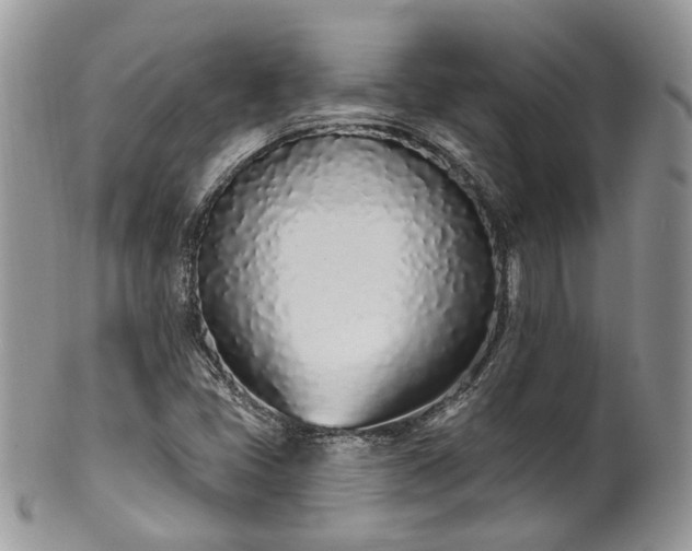 X0000100411405200806131026