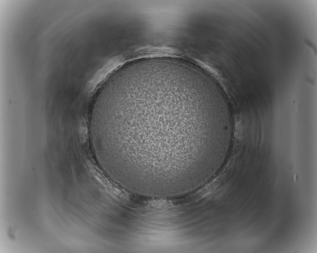 X0000100411407200806131026