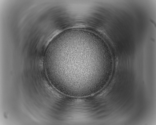 X0000100411409200806131026