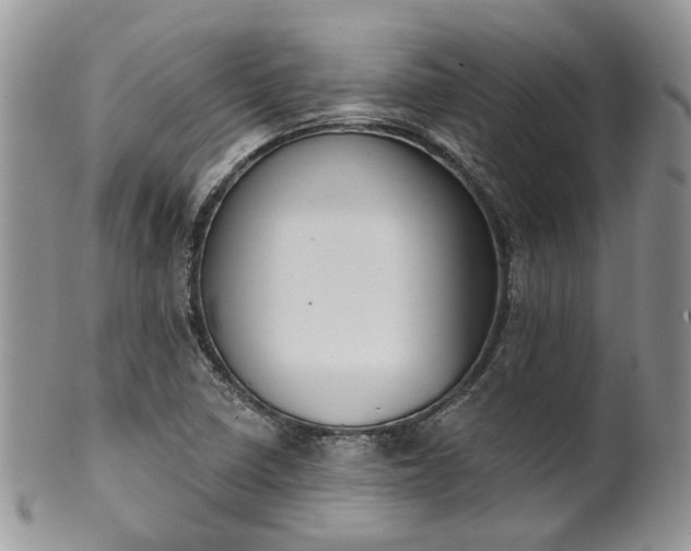 X0000100411410200806131026