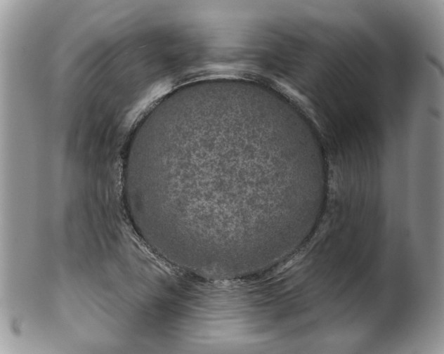 X0000100411411200806131026