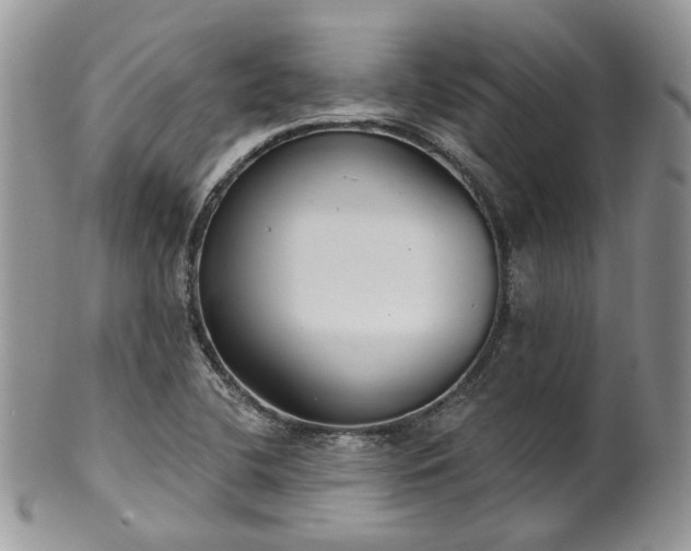 X0000100411412200806131026