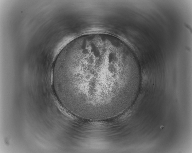 X0000100411413200806131026