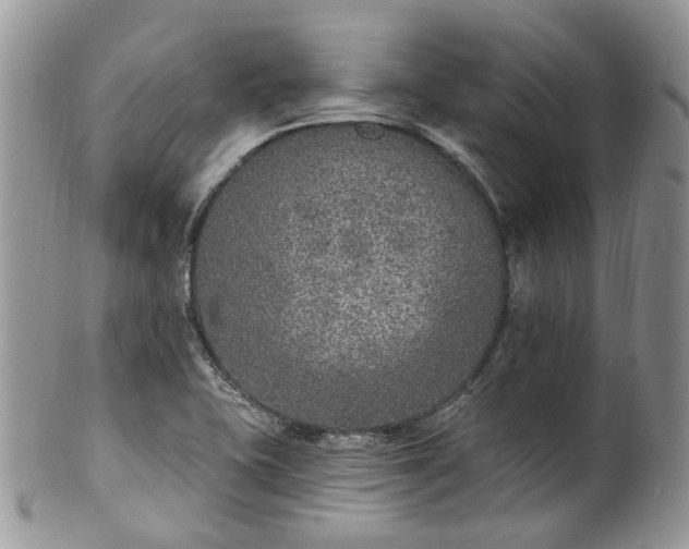 X0000100411415200806131026