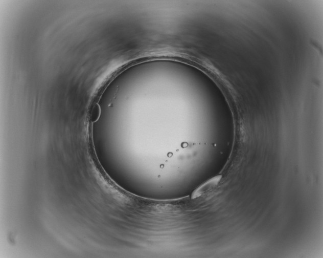 X0000100411416200806131026