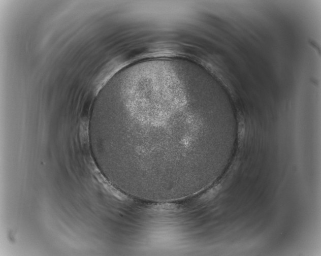 X0000100411417200806131026