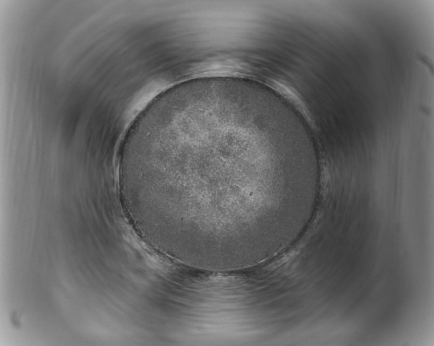 X0000100411419200806131026