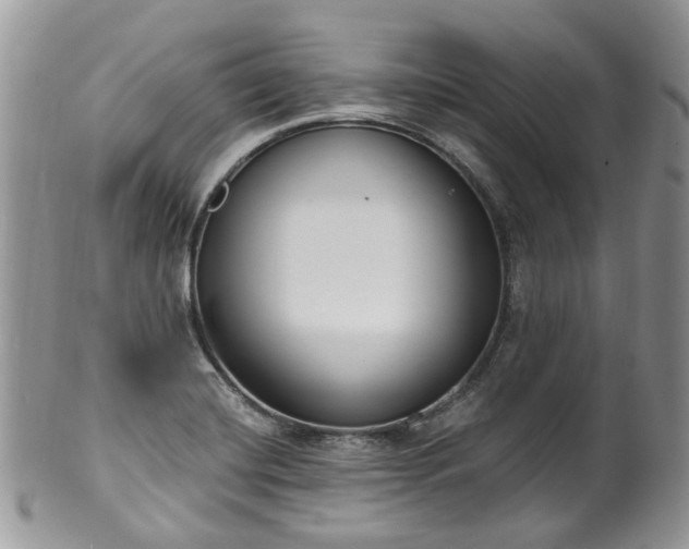 X0000100411420200806131026