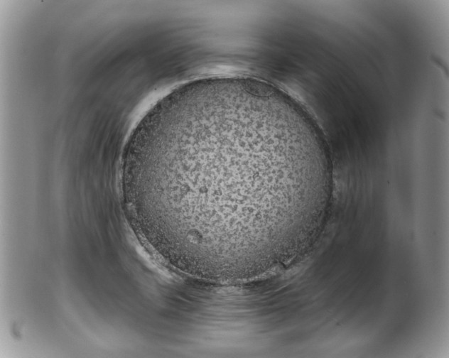 X0000100411421200806131026