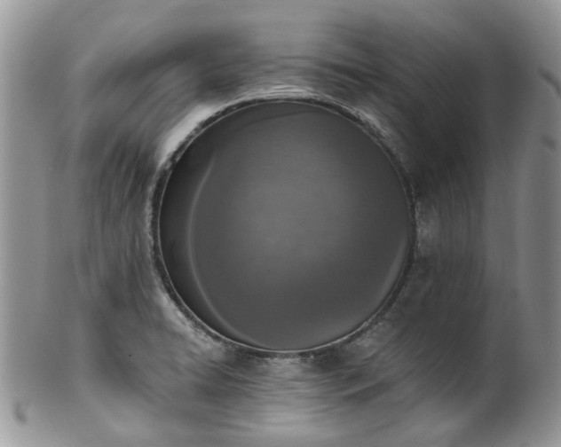 X0000100411422200806131026