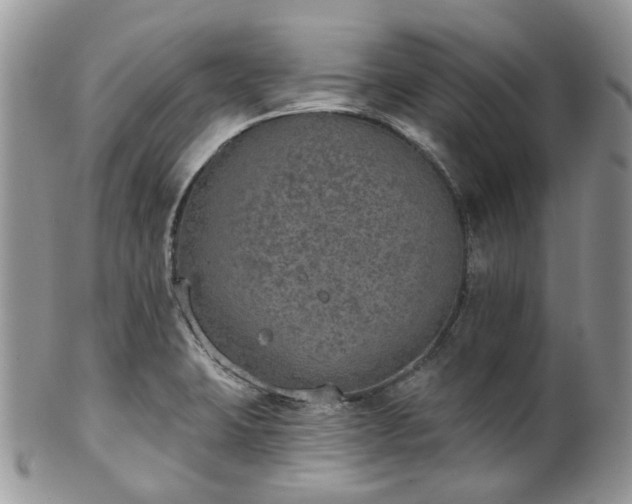 X0000100411423200806131026