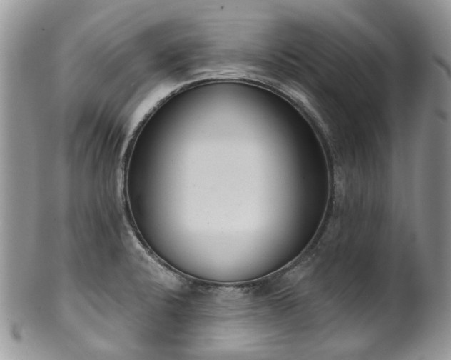 X0000100411424200806131026