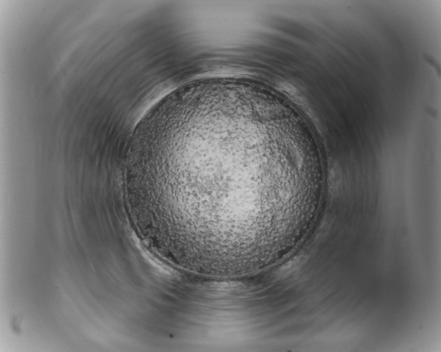 X0000100411425200806131026