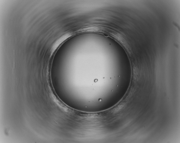 X0000100411426200806131026