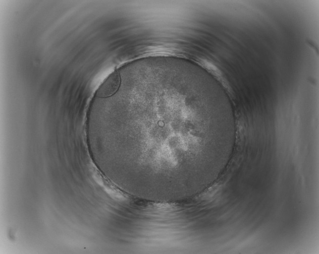 X0000100411427200806131026