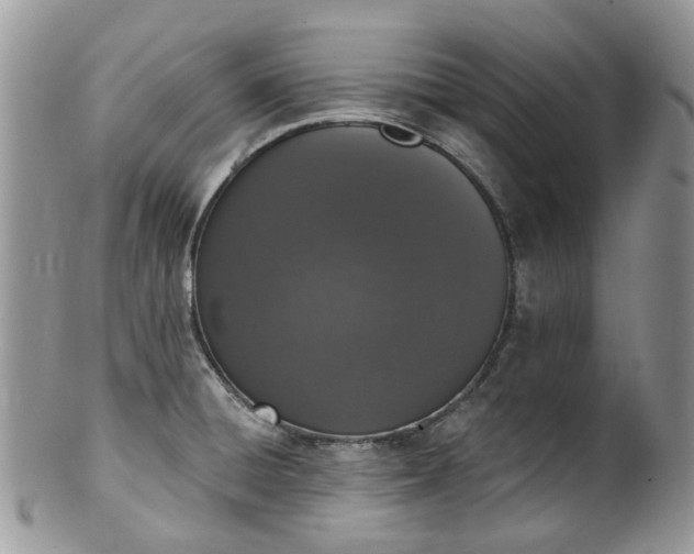 X0000100411428200806131026