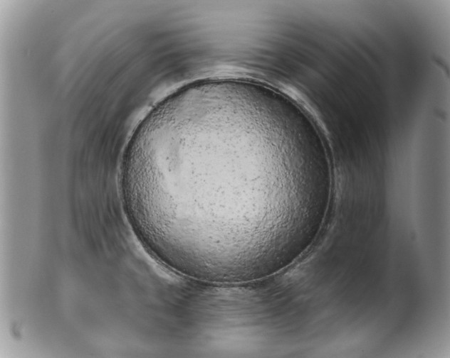 X0000100411429200806131026