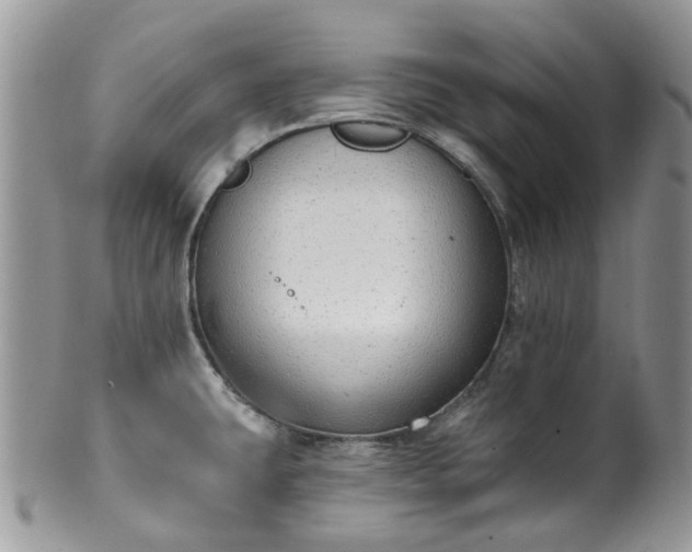 X0000100411431200806131026