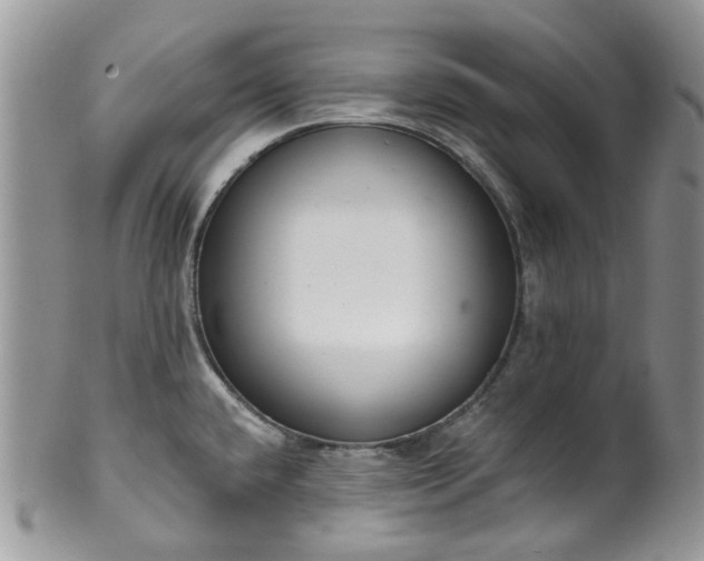 X0000100411432200806131026