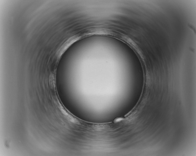 X0000100411433200806131026