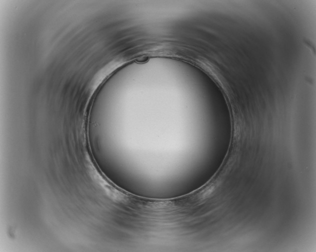 X0000100411434200806131026